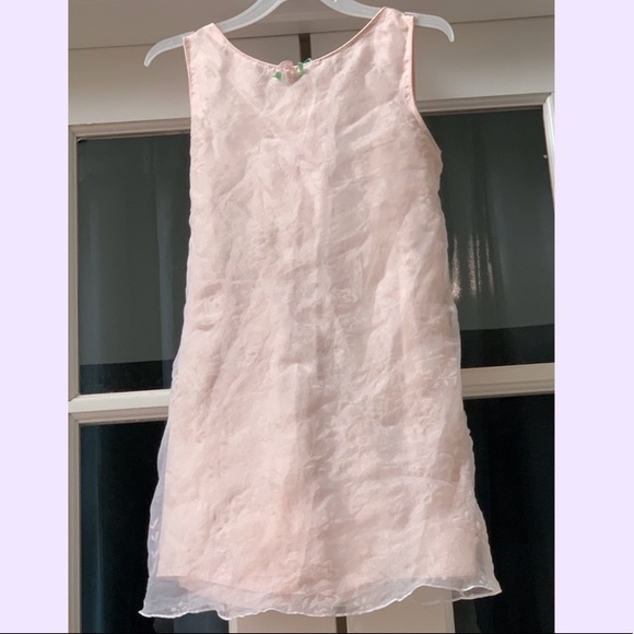 Girl’s Dress with Chiffon Overlay - Picture 1 of 2